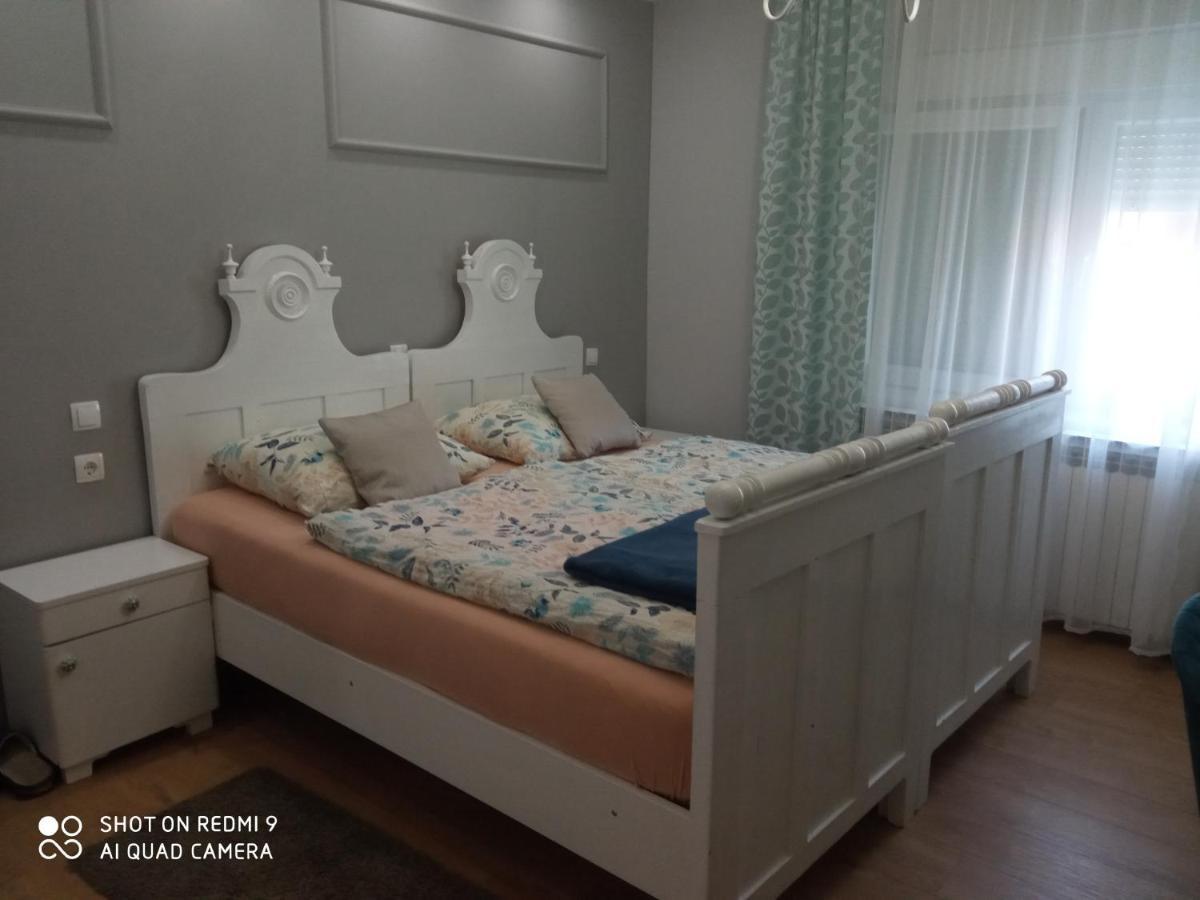 Villa Lucia - Apartments&Rooms Slavonski Brod Extérieur photo